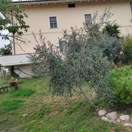 Casa Il Canto Tortoreto Екстер'єр фото